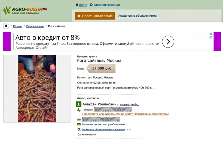 Авито хакасия объявления о продаже животных