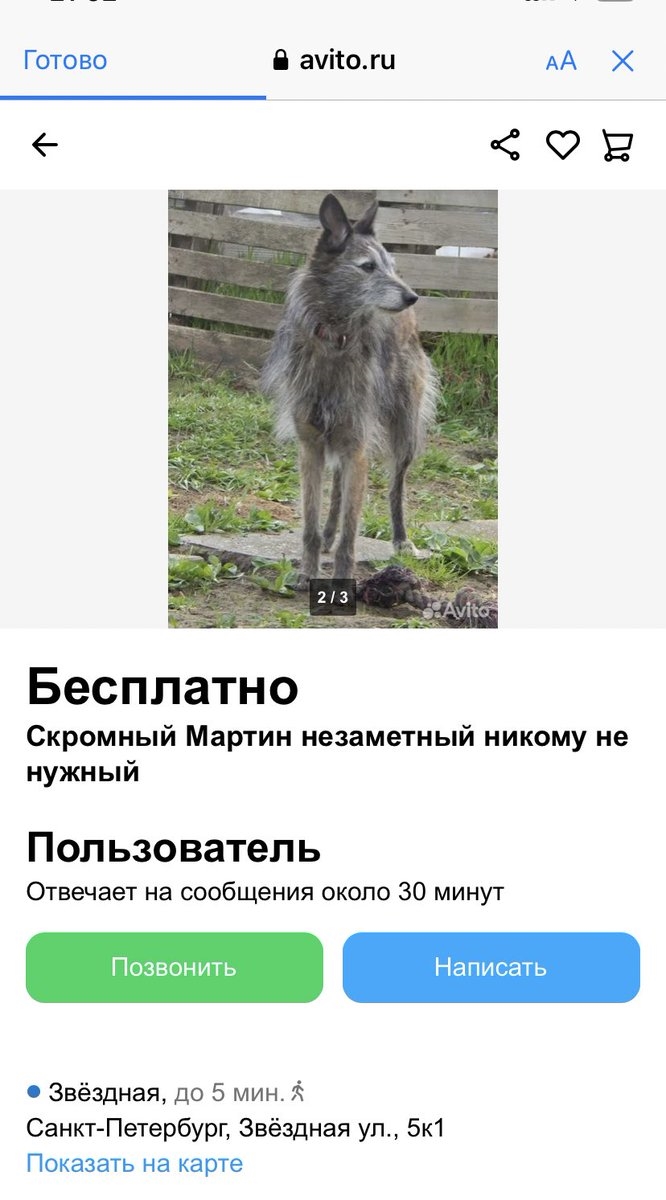 Авито питер бесплатные объявления