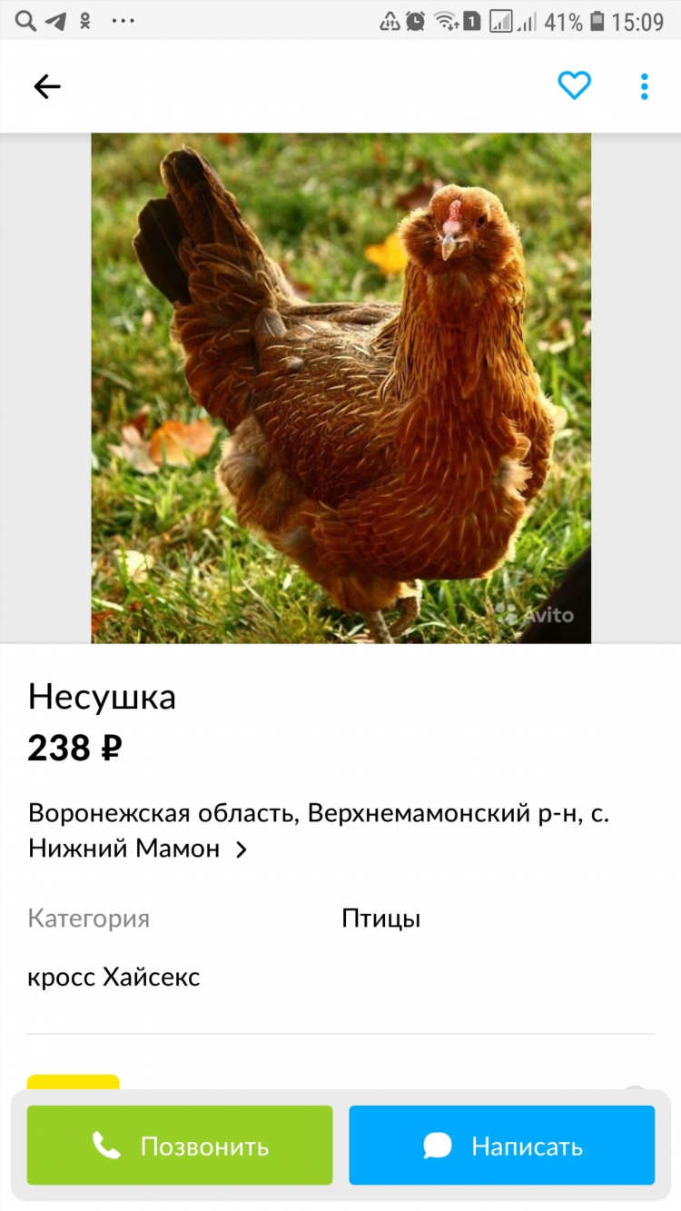 Авито тольятти бесплатные объявления от частных лиц продать