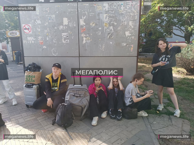Барда авито пермский край бесплатные объявления