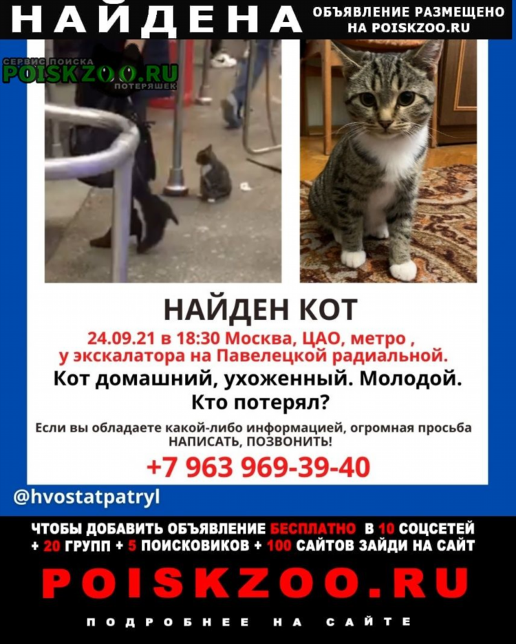 Доска бесплатных объявлений москва телефон