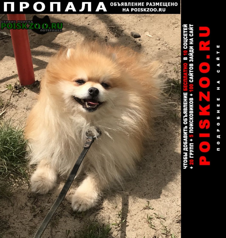 Доска объявлений из рук в руки нижний новгород объявления