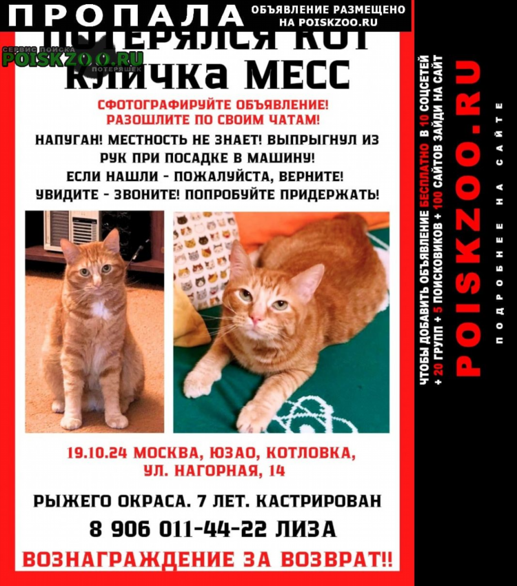 Доска объявлений мск