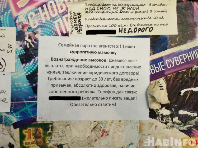 Доска объявлений суррогатного материнства