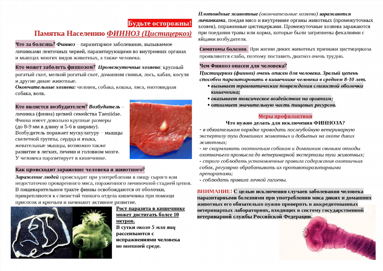 Доска объявлений животные ростов