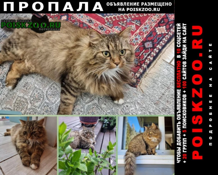 Город александров доска объявлений