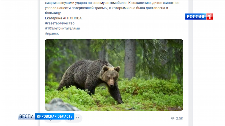 Яранск объявления