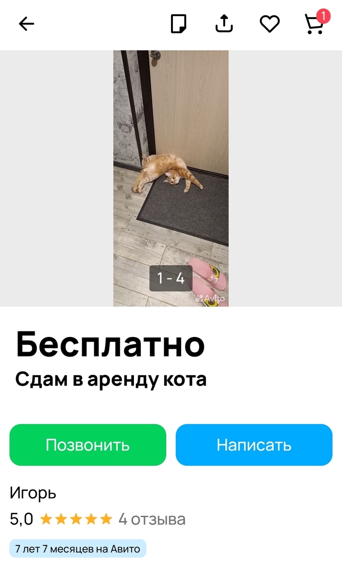 Как бесплатно выставить объявление на авито недвижимость