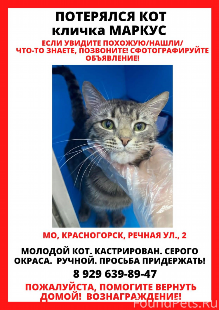 Красногорское в контакте доска объявлений