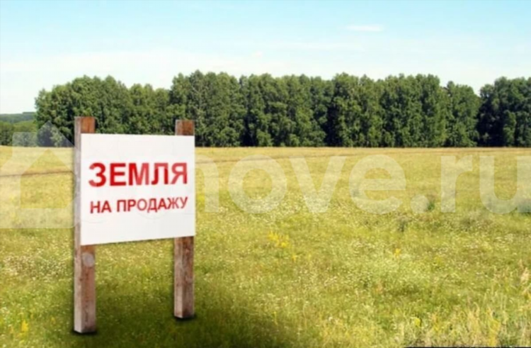 Купи продай бесплатные объявления доска рубцовск