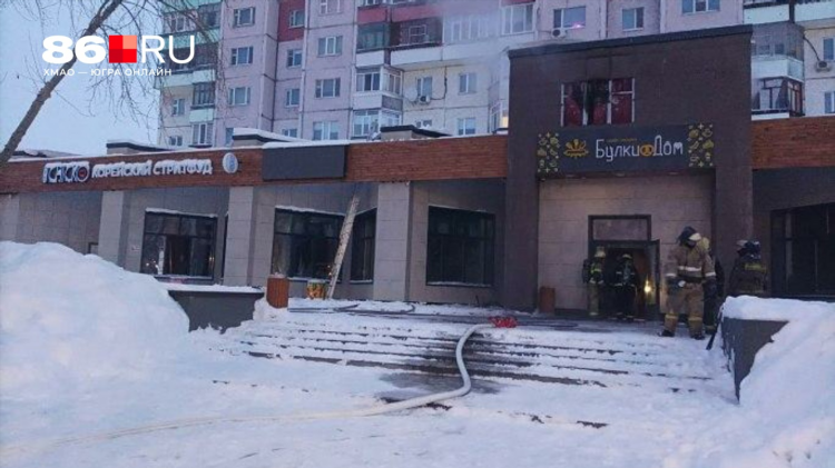 Куплю дачу в сургуте свежие объявления