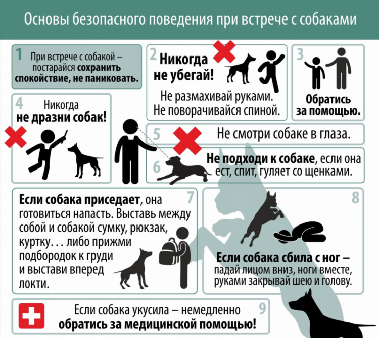 Объявление о сходе граждан в сельском поселении