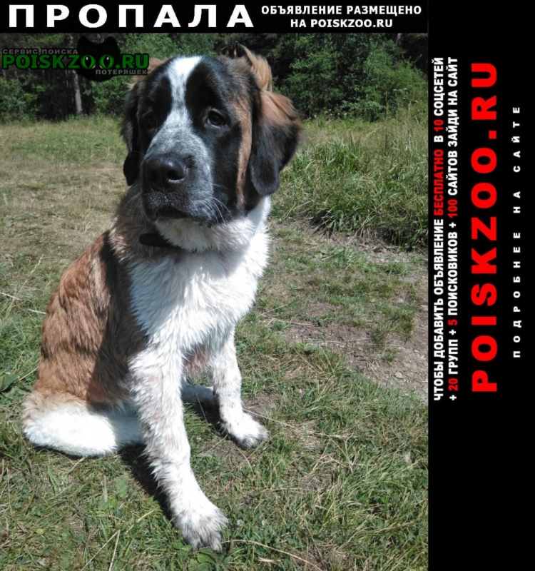 Объявления дегтярск