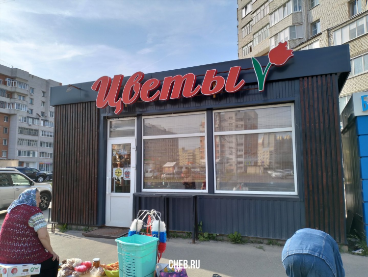 Объявления калининград юла бесплатные