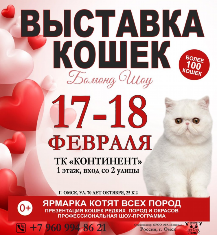 Объявления омск омск