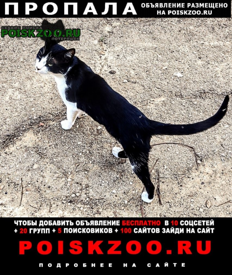 Сакская доска объявлений