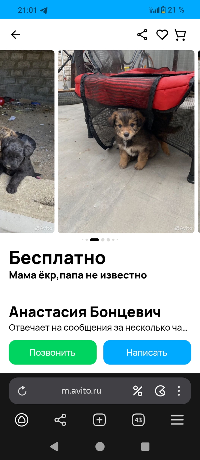 Самые смешные объявления на авито
