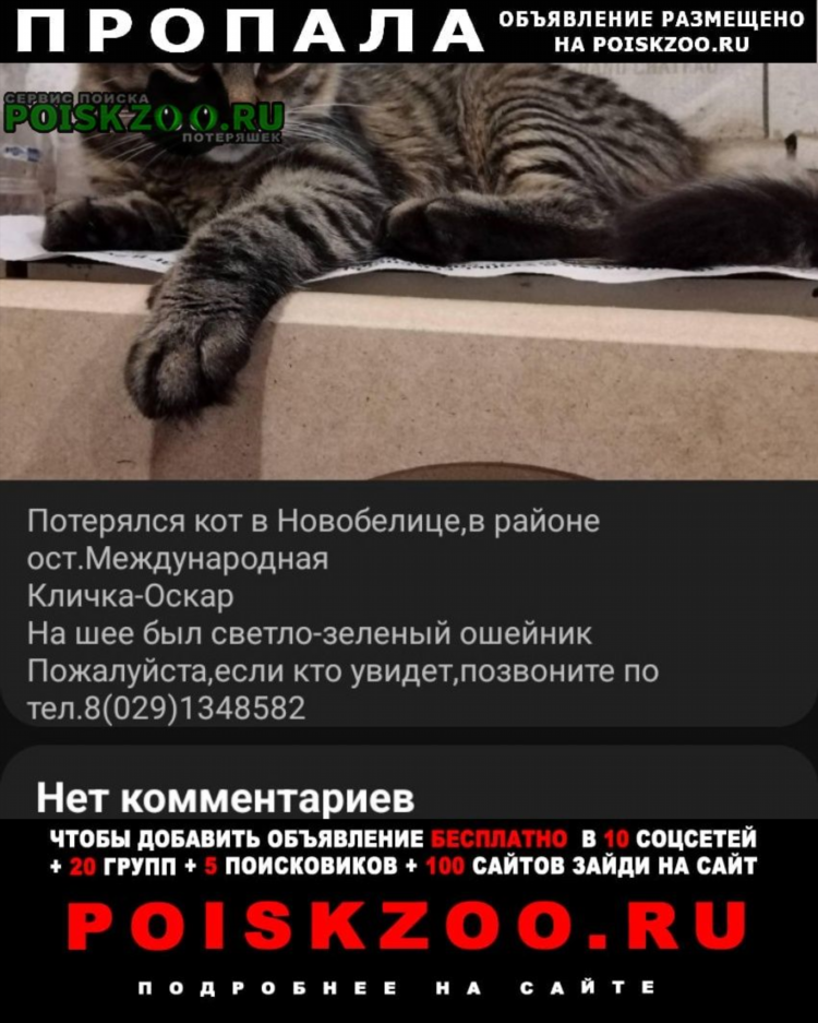 Сон доска объявлений